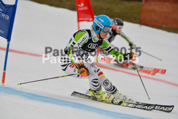 Dt. Meisterschaft Team Bewerb 2015