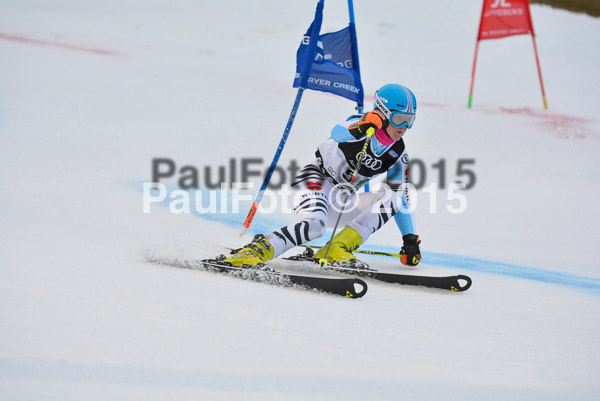 Dt. Meisterschaft Team Bewerb 2015