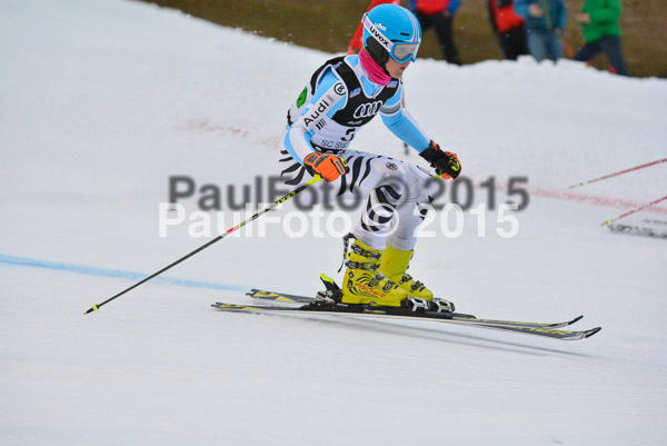 Dt. Meisterschaft Team Bewerb 2015