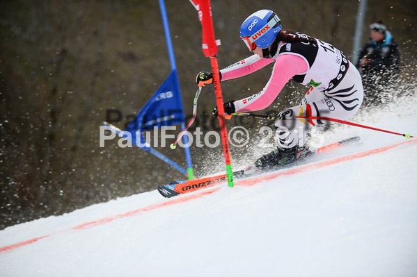 Dt. Meisterschaft Team Bewerb 2015