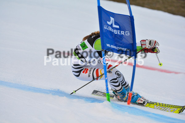 Dt. Meisterschaft Team Bewerb 2015