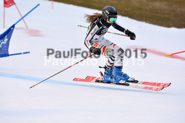 Dt. Meisterschaft Team Bewerb 2015