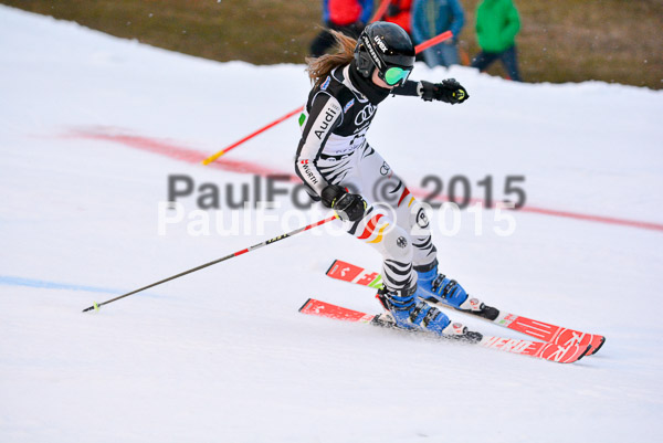 Dt. Meisterschaft Team Bewerb 2015