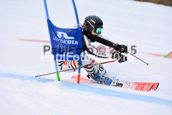Dt. Meisterschaft Team Bewerb 2015