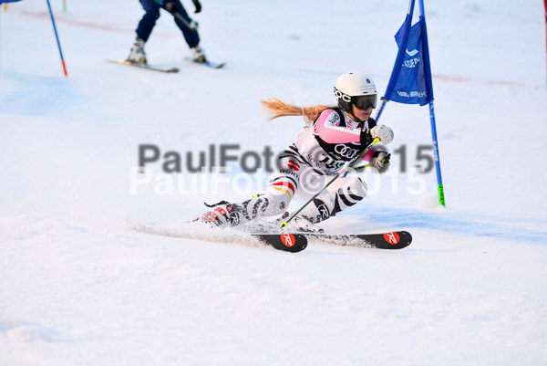 Dt. Meisterschaft Team Bewerb 2015