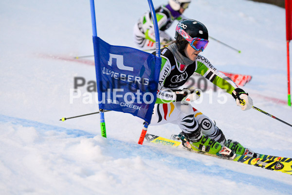 Dt. Meisterschaft Team Bewerb 2015