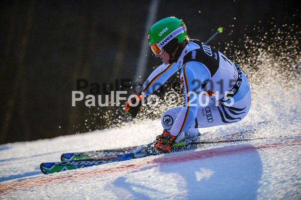 Dt. Meisterschaft Team Bewerb 2015