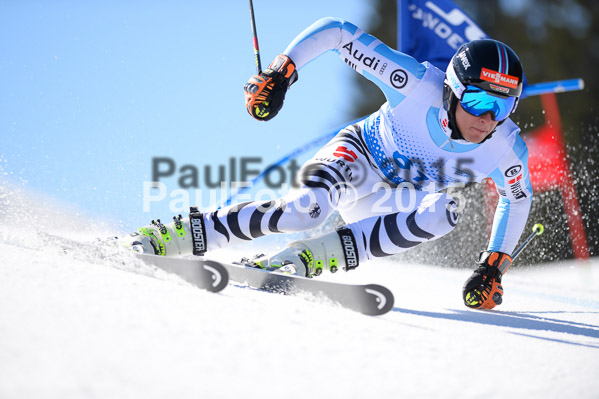 Int. Dt. Meisterschaft Riesenslalom Herren 2015