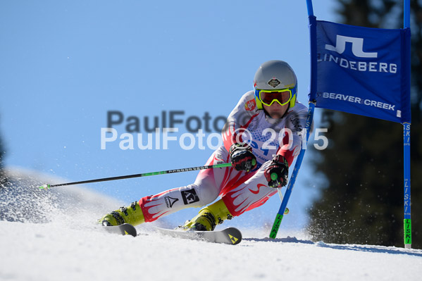 Int. Dt. Meisterschaft Riesenslalom Herren 2015