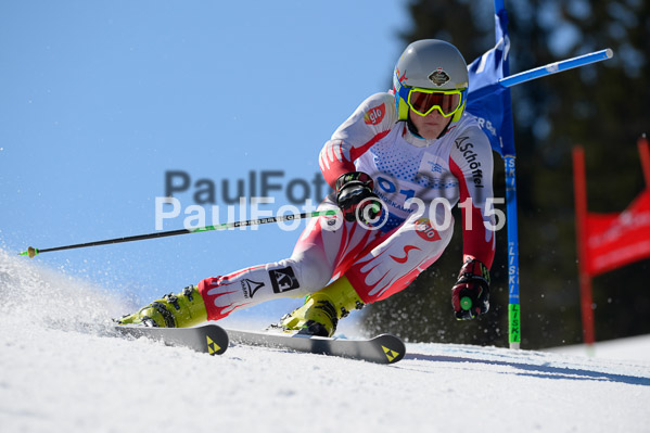 Int. Dt. Meisterschaft Riesenslalom Herren 2015