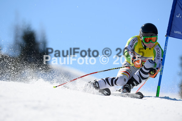 Int. Dt. Meisterschaft Riesenslalom Herren 2015