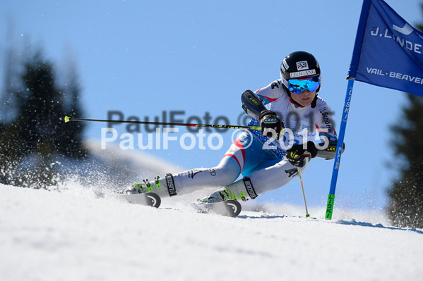 Int. Dt. Meisterschaft Riesenslalom Herren 2015