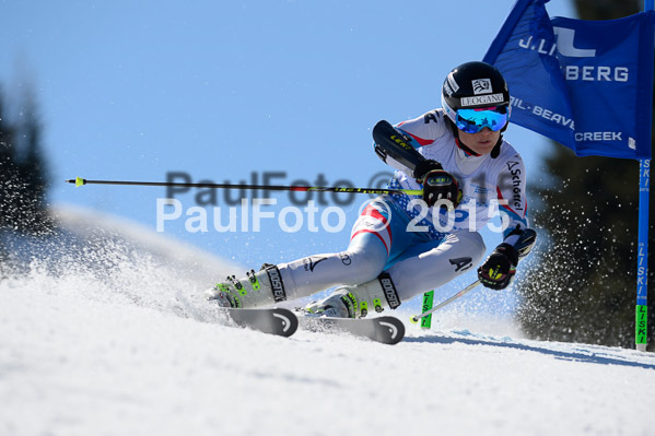 Int. Dt. Meisterschaft Riesenslalom Herren 2015
