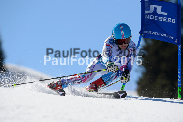 Int. Dt. Meisterschaft Riesenslalom Herren 2015