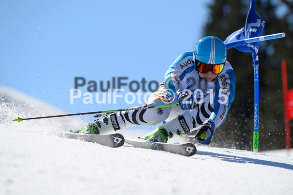 Int. Dt. Meisterschaft Riesenslalom Herren 2015