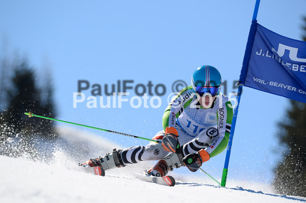 Int. Dt. Meisterschaft Riesenslalom Herren 2015