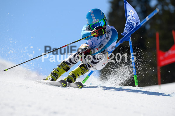 Int. Dt. Meisterschaft Riesenslalom Herren 2015