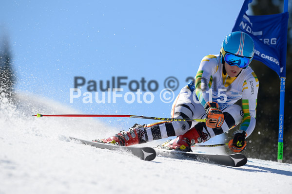 Int. Dt. Meisterschaft Riesenslalom Herren 2015