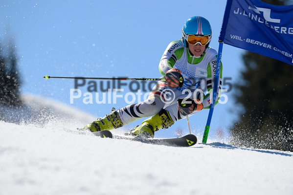 Int. Dt. Meisterschaft Riesenslalom Herren 2015