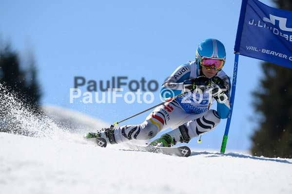 Int. Dt. Meisterschaft Riesenslalom Herren 2015