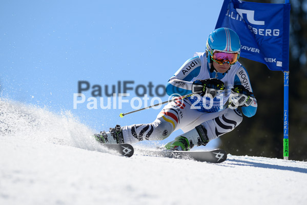 Int. Dt. Meisterschaft Riesenslalom Herren 2015