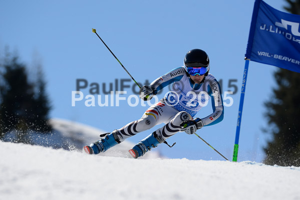 Int. Dt. Meisterschaft Riesenslalom Herren 2015