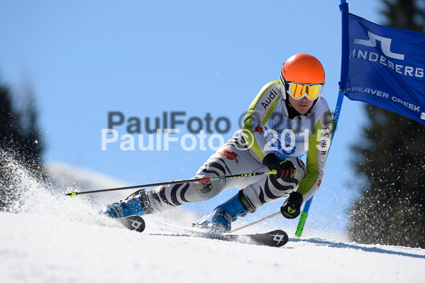 Int. Dt. Meisterschaft Riesenslalom Herren 2015