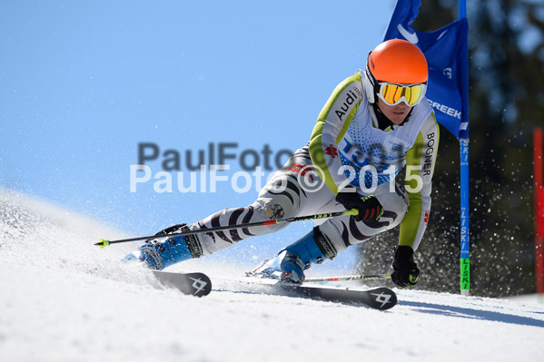 Int. Dt. Meisterschaft Riesenslalom Herren 2015