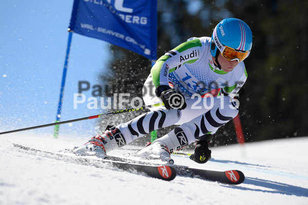 Int. Dt. Meisterschaft Riesenslalom Herren 2015