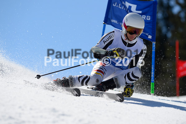 Int. Dt. Meisterschaft Riesenslalom Herren 2015
