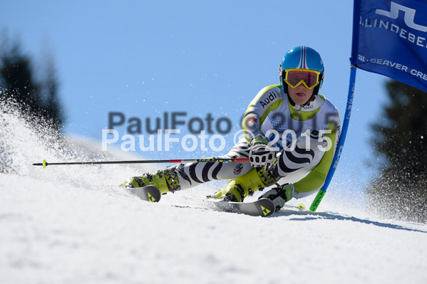 Int. Dt. Meisterschaft Riesenslalom Herren 2015