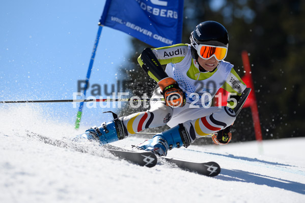 Int. Dt. Meisterschaft Riesenslalom Herren 2015