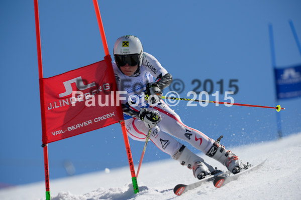 Int. Dt. Meisterschaft Riesenslalom Herren 2015