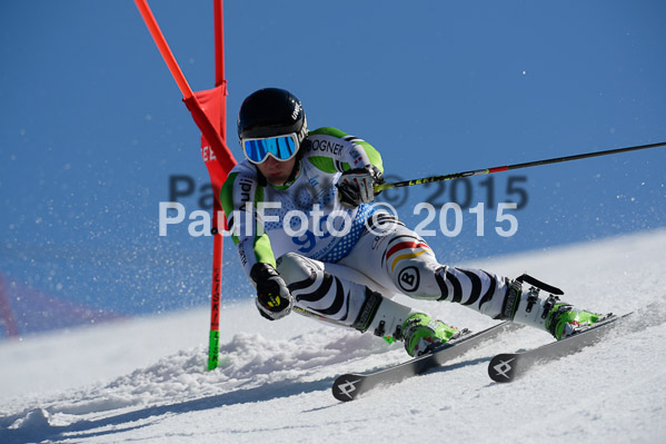 Int. Dt. Meisterschaft Riesenslalom Herren 2015