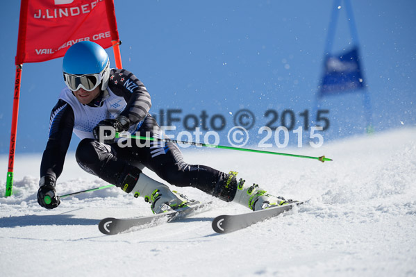 Int. Dt. Meisterschaft Riesenslalom Herren 2015