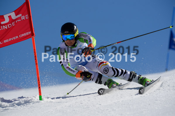 Int. Dt. Meisterschaft Riesenslalom Herren 2015