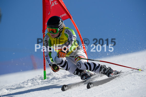 Int. Dt. Meisterschaft Riesenslalom Herren 2015