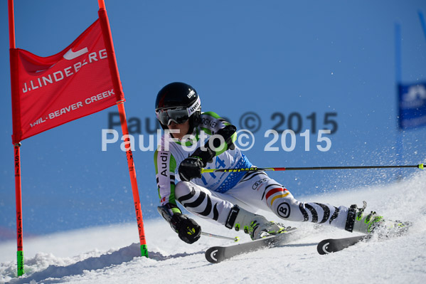 Int. Dt. Meisterschaft Riesenslalom Herren 2015