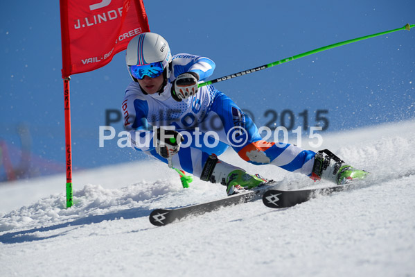 Int. Dt. Meisterschaft Riesenslalom Herren 2015