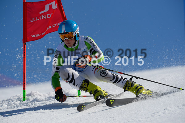Int. Dt. Meisterschaft Riesenslalom Herren 2015