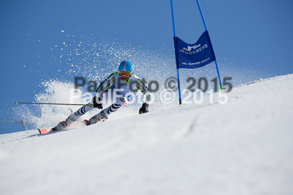 Int. Dt. Meisterschaft Riesenslalom Herren 2015