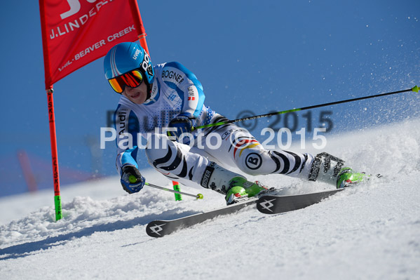 Int. Dt. Meisterschaft Riesenslalom Herren 2015