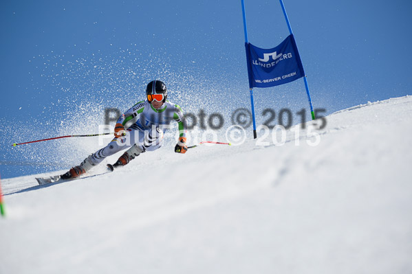 Int. Dt. Meisterschaft Riesenslalom Herren 2015