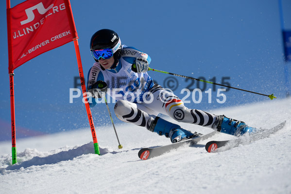 Int. Dt. Meisterschaft Riesenslalom Herren 2015