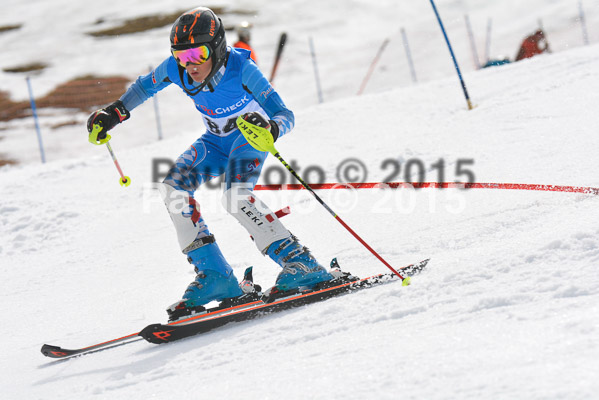 Deutsche Schülermeisterschaft SL 2015