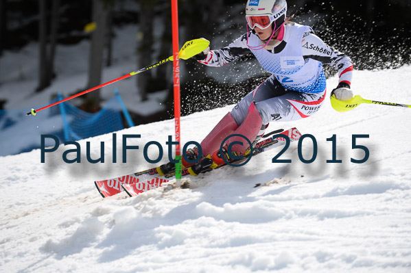 Int. Dt. Meisterschaft SL Damen 2015