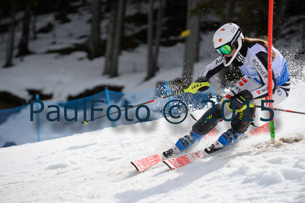 Int. Dt. Meisterschaft SL Damen 2015