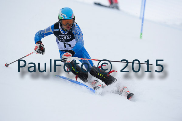 Int. Dt. Meisterschaft SL Herren 2015
