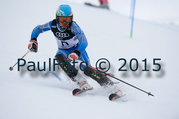 Int. Dt. Meisterschaft SL Herren 2015