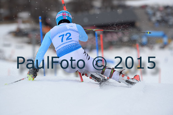 Int. Dt. Meisterschaft SL Herren 2015